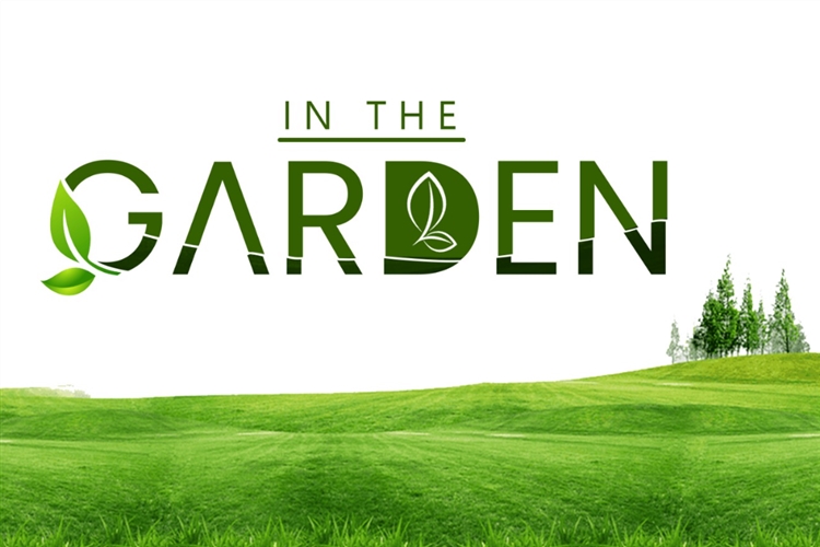 IN-THE-GARDEN-LOGO.jpeg